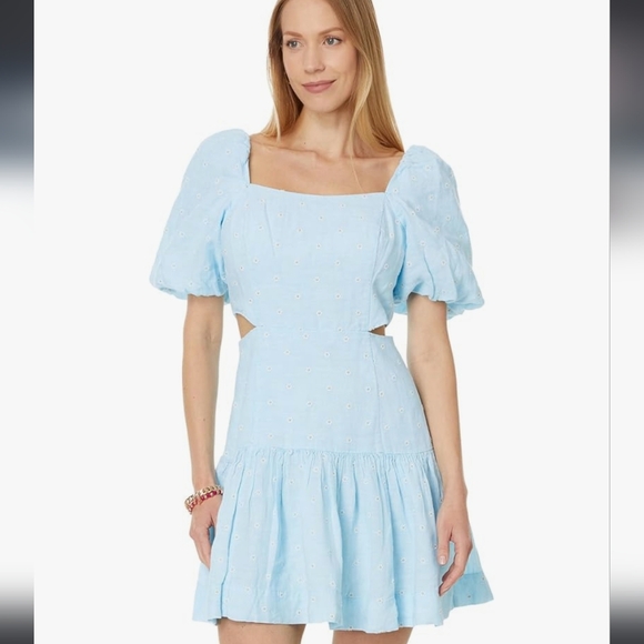 NWT Lilly Pulitzer Kylanne Drive Me Daisy Linen Dress - Picture 3 of 16